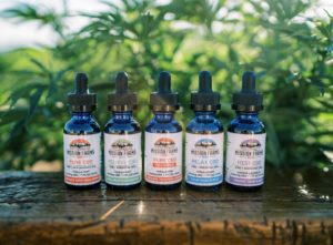 Read more about the article Can CBD help Asthma?