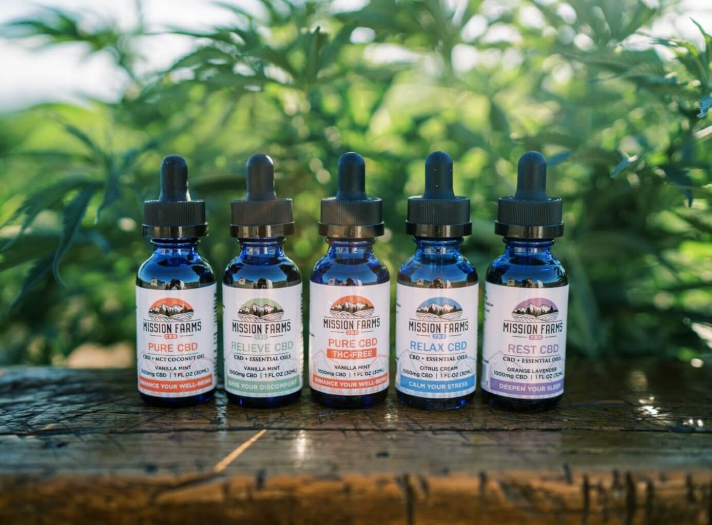 You are currently viewing Can CBD help Asthma?