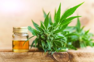 Read more about the article How do you compare CBD vs. THC?