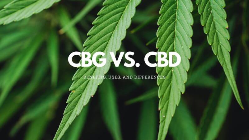 CBG Vs. CBD text on Hemp plant background