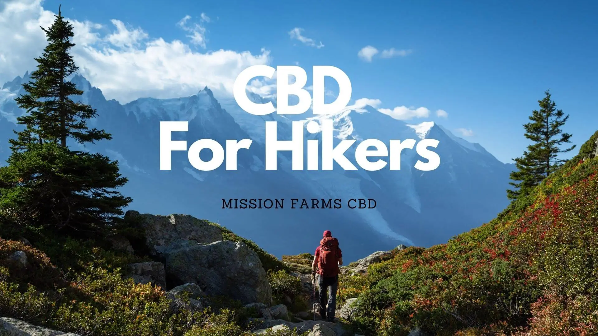 Read more about the article CBD For Hikers