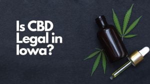 Read more about the article Is CBD Legal in Iowa?