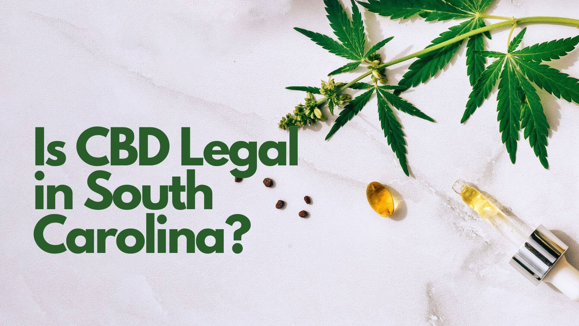 You are currently viewing Is CBD Legal in South Carolina?
