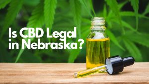 Read more about the article Is CBD legal in Nebraska?