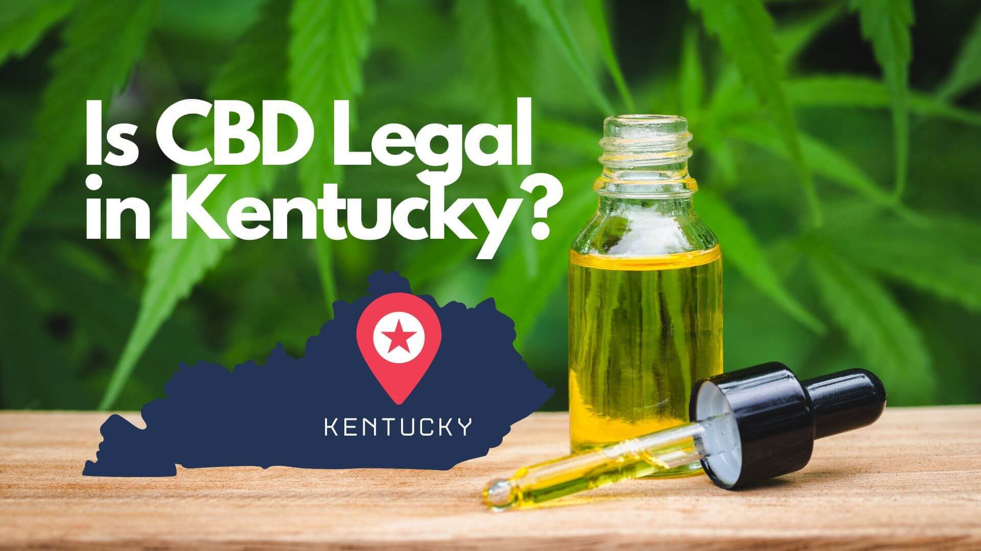 You are currently viewing Is CBD legal in Kentucky?