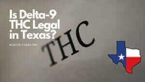 Read more about the article Is Delta 9 THC Legal in Texas?