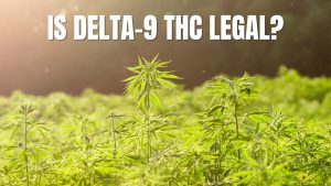 Read more about the article Is Delta-9 THC Legal?